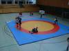 img0021.jpg