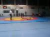 img0060.jpg