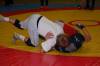 img0061.jpg