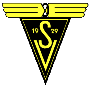 SV29 Ringen